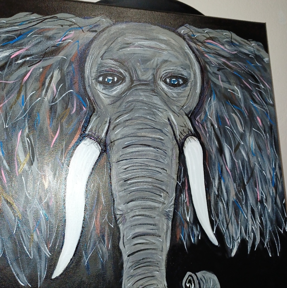 Canvas Acrylic Paintings